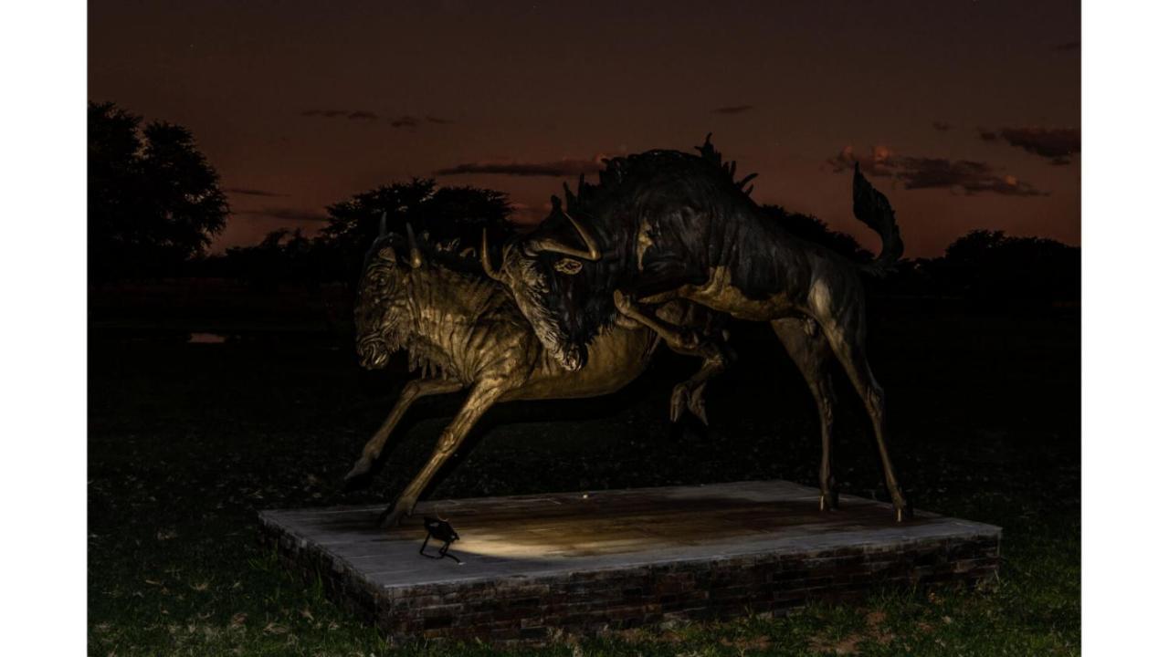 Sandune Game Lodge Gobabis Dış mekan fotoğraf